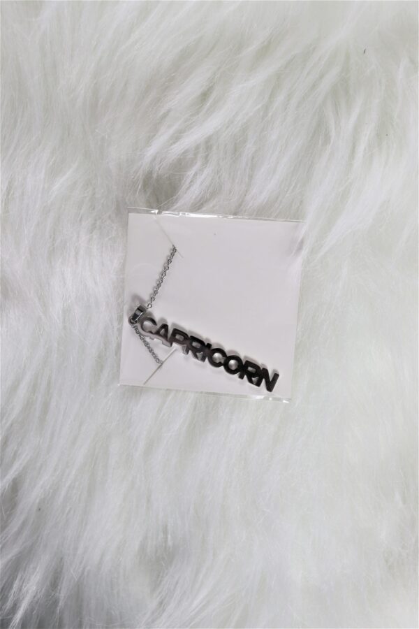 Capricorn Zodiac Sign Necklace