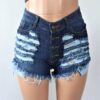 Gary Ripped Shorts