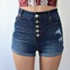 Nick Button Up Denim Shorts