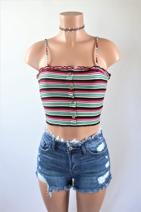 Alice Stripe Crop Top