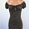 Lucinda Mini Dress