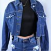 Dan Dan Crop Jacket 1