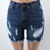 Cece Denim Shorts