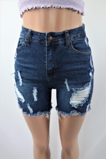 Cece Denim Shorts