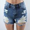 Dash Denim Shorts