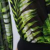 IMG_7474 Paradise Suit