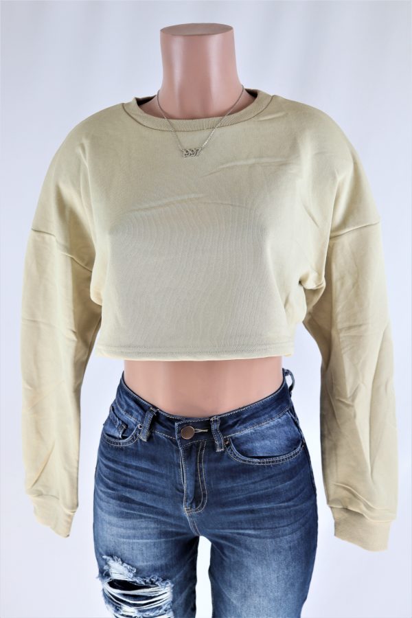 Long Sleeve Crop Top