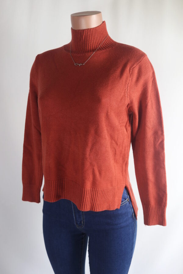 IMG_9384 Fave Turtleneck Sweater Top