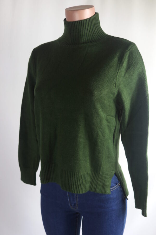 IMG_9393 Fave Turtleneck Sweater Top