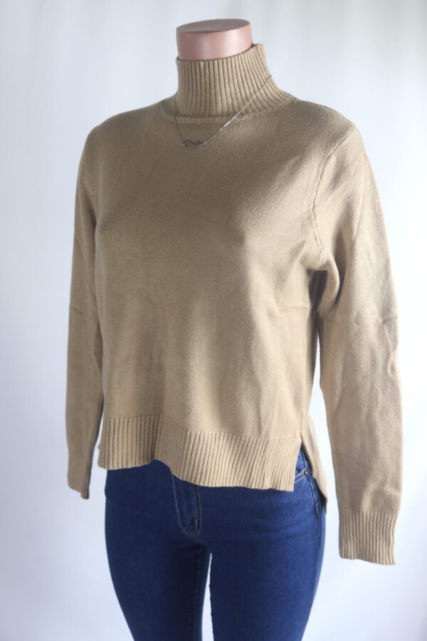IMG_9398 Fave Turtleneck Sweater Top