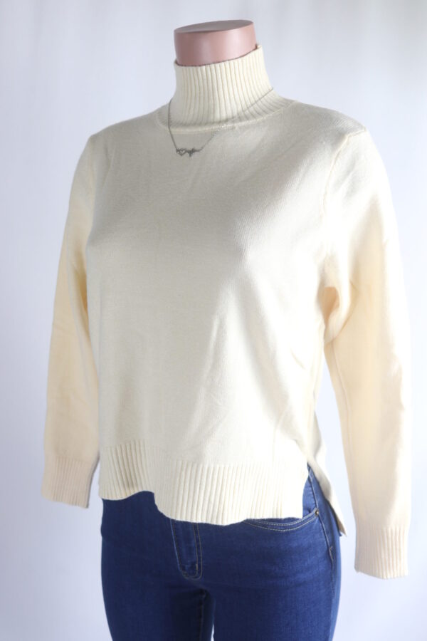 IMG_9402 Fave Turtleneck Sweater Top