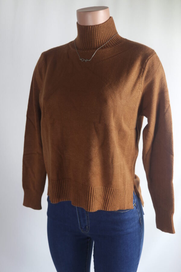 IMG_9406 Fave Turtleneck Sweater Top