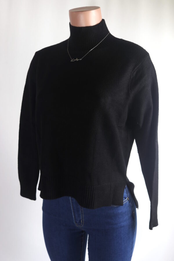 IMG_9415 Fave Turtleneck Sweater Top