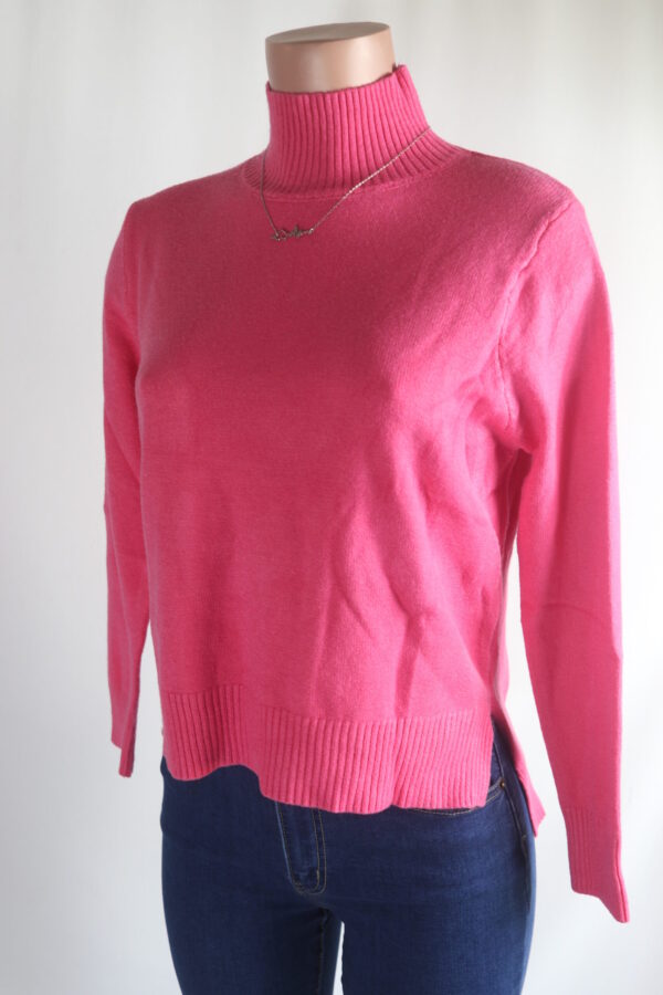IMG_9416 Fave Turtleneck Sweater Top